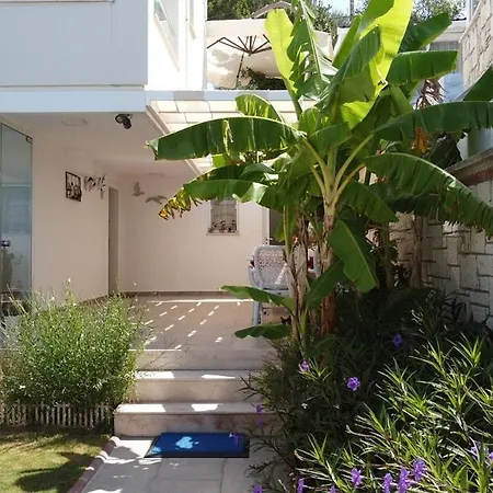 מלון Lara Ilica 2*